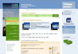 Une entreprise bretonne à l'honneur : Elyazalée, l'éco-citoyenne.