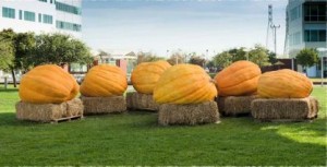 Bandeau Halloween Google