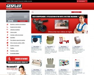 Gesflux 2012