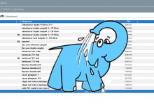 elephant
