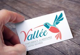 Création graphique du logo de l'entreprise Vallée